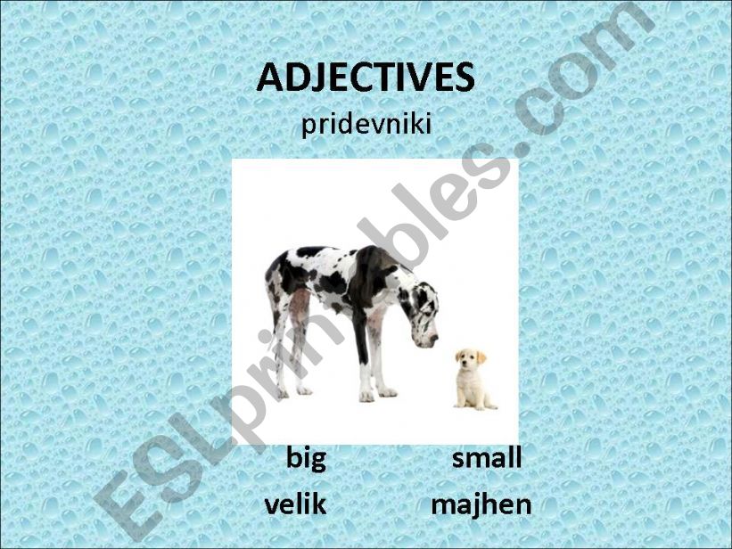 Adjectives-opposites powerpoint