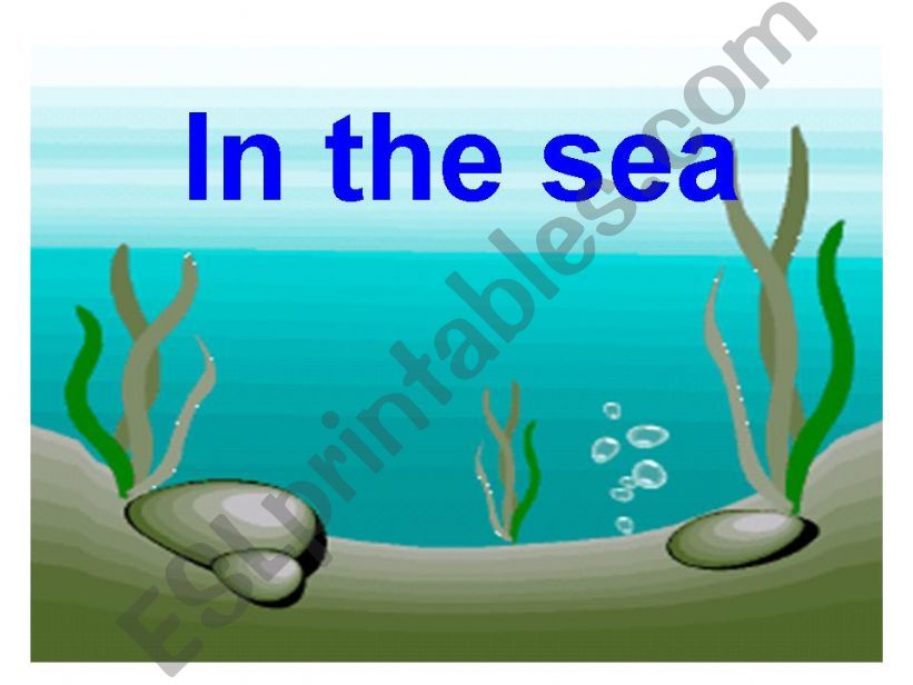 In the sea powerpoint