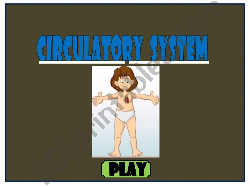 the circulatory system powerpoint