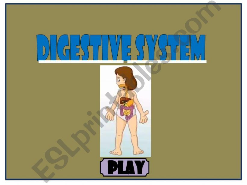 the digestive system powerpoint