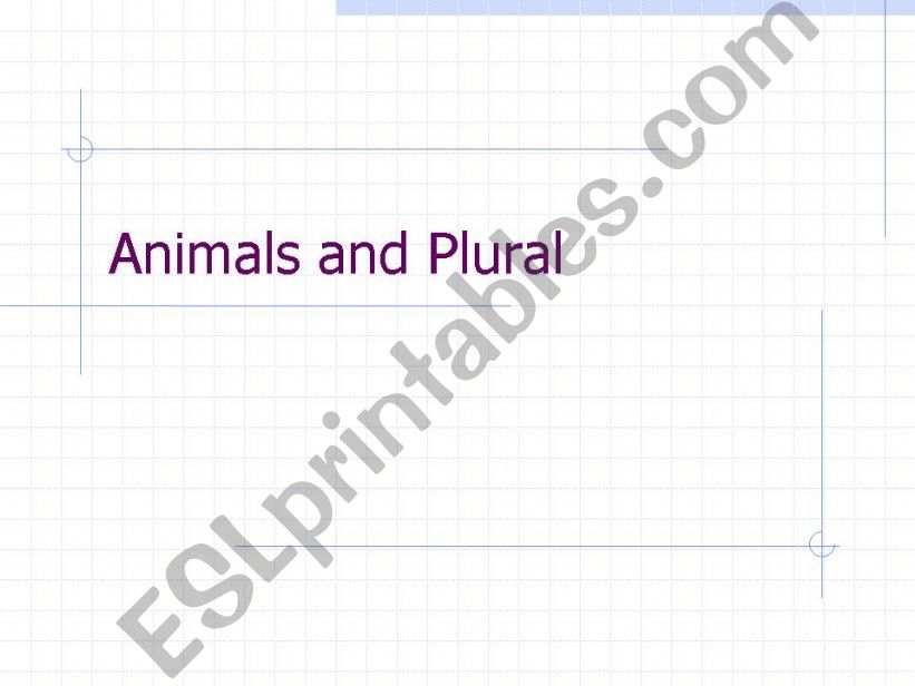 Animals and Plural powerpoint