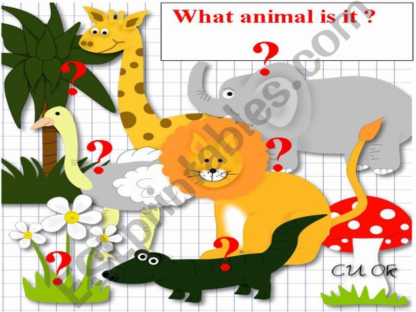 What animal is it powerpoint