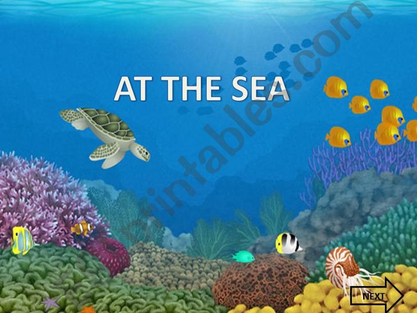 At the sea.riddles powerpoint