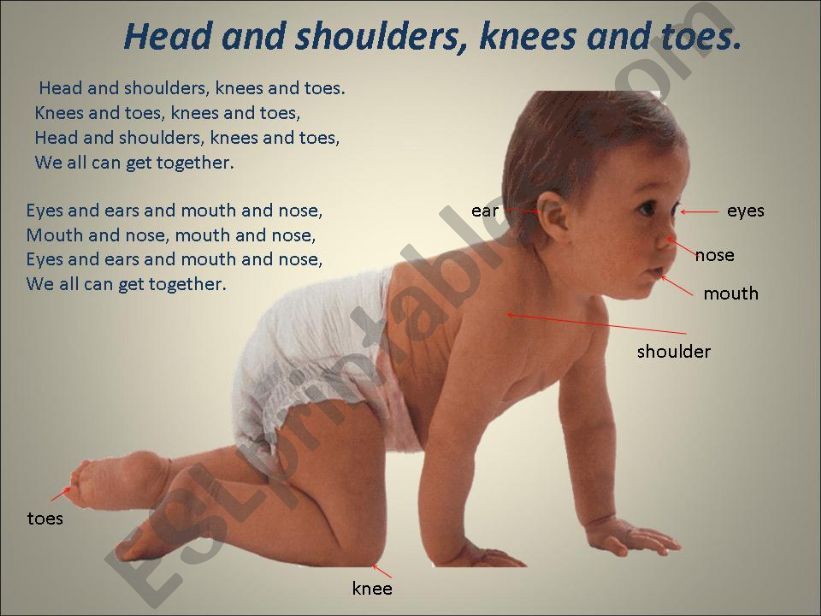  Head and shoulders, knees and toes.