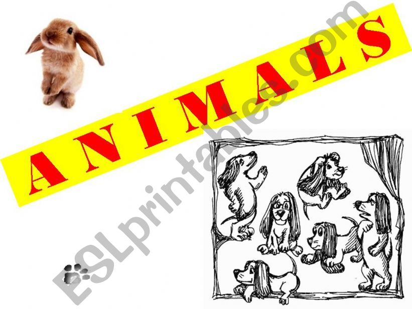 Animals powerpoint