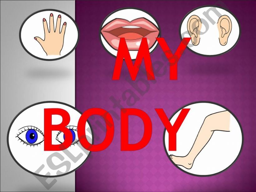 revision my body powerpoint