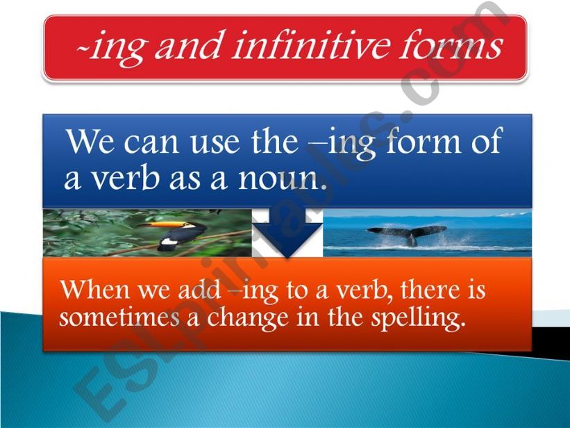 Gerund and infinitive powerpoint