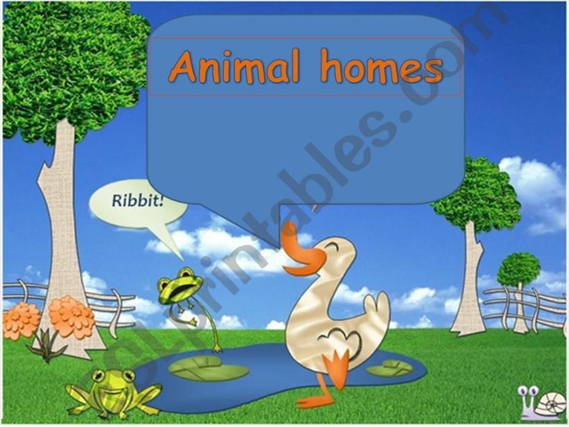 Animal homes powerpoint