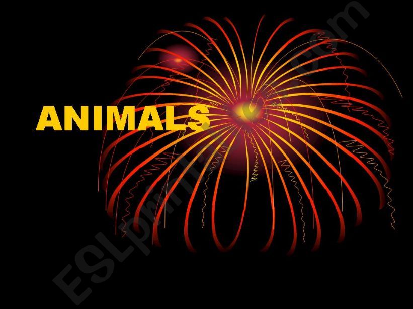 ANIMALS powerpoint