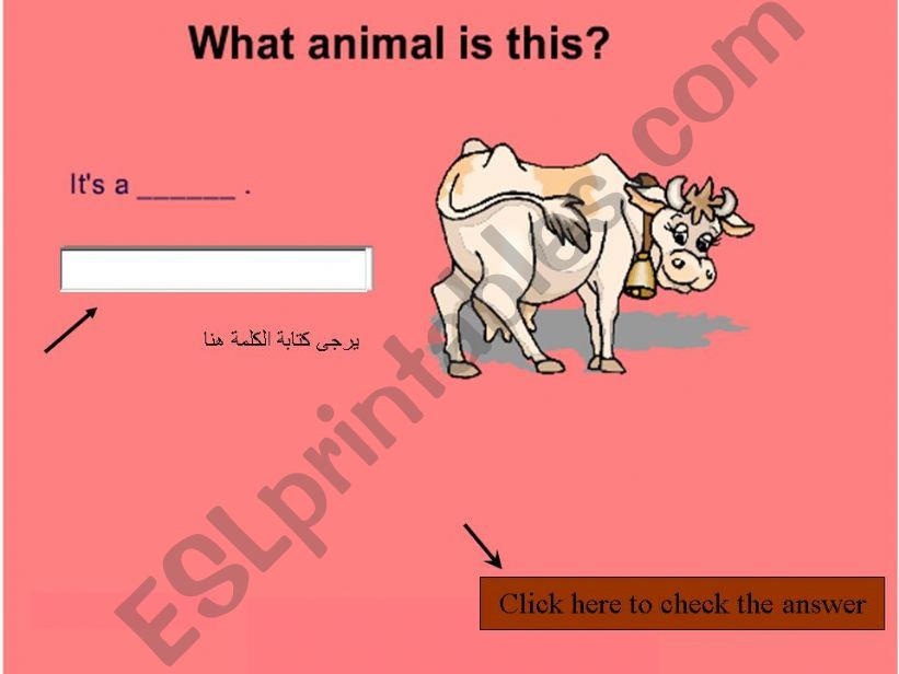 what animal is this ?  powerpoint