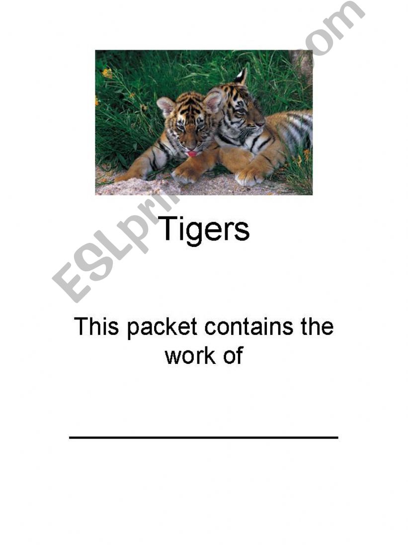phonics & grammar in a Tiger Theme