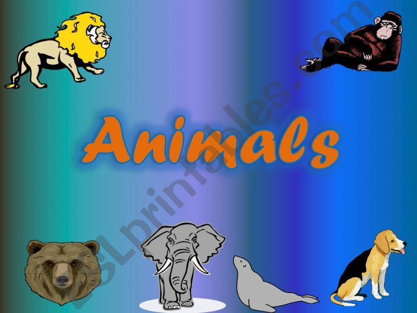 Animals powerpoint