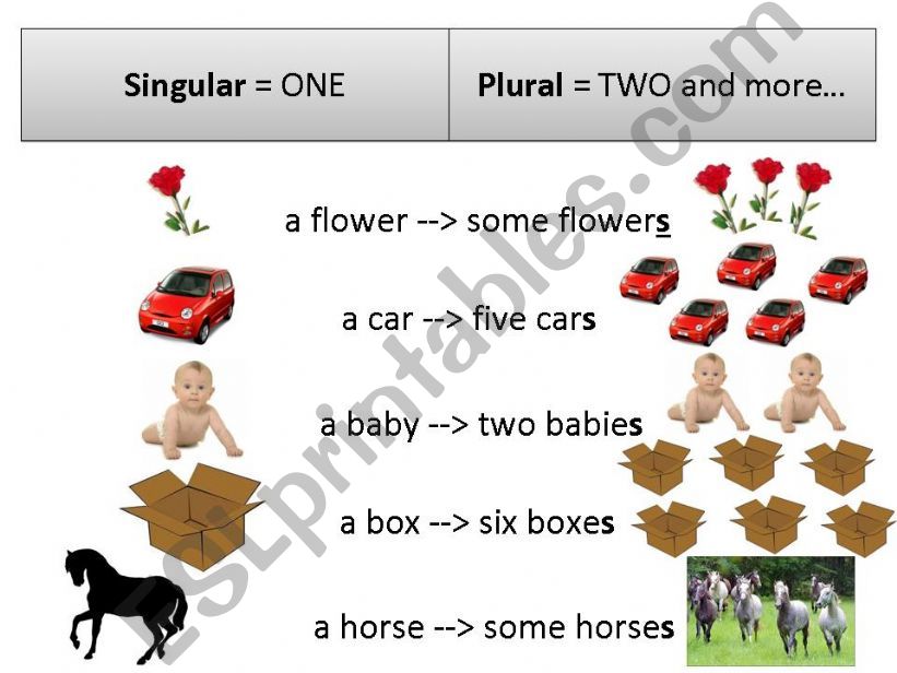 Plural form powerpoint