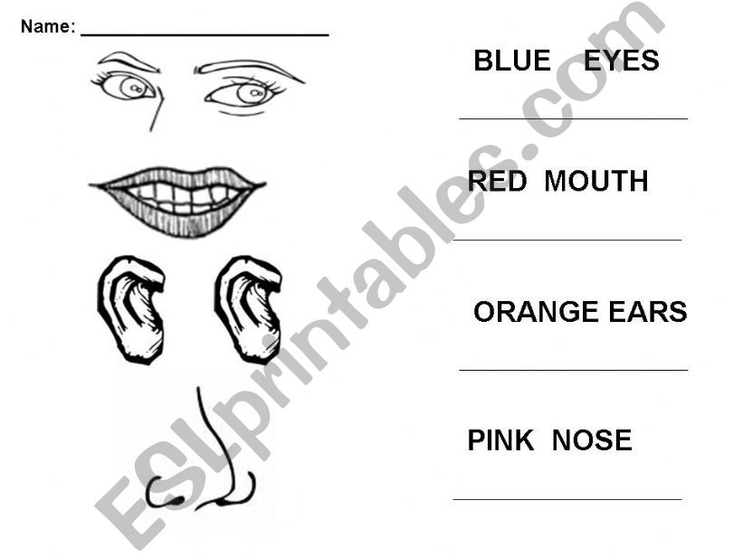 Body parts powerpoint