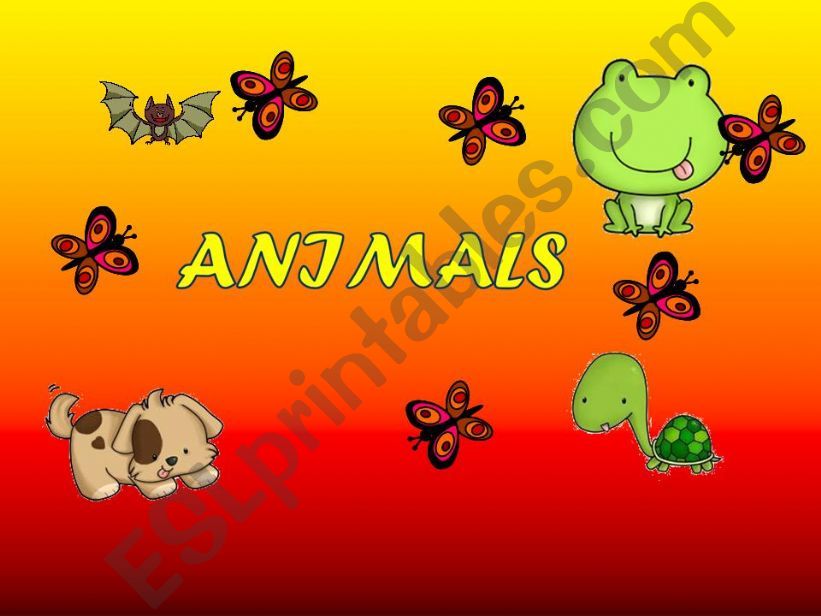 animals ;)) powerpoint