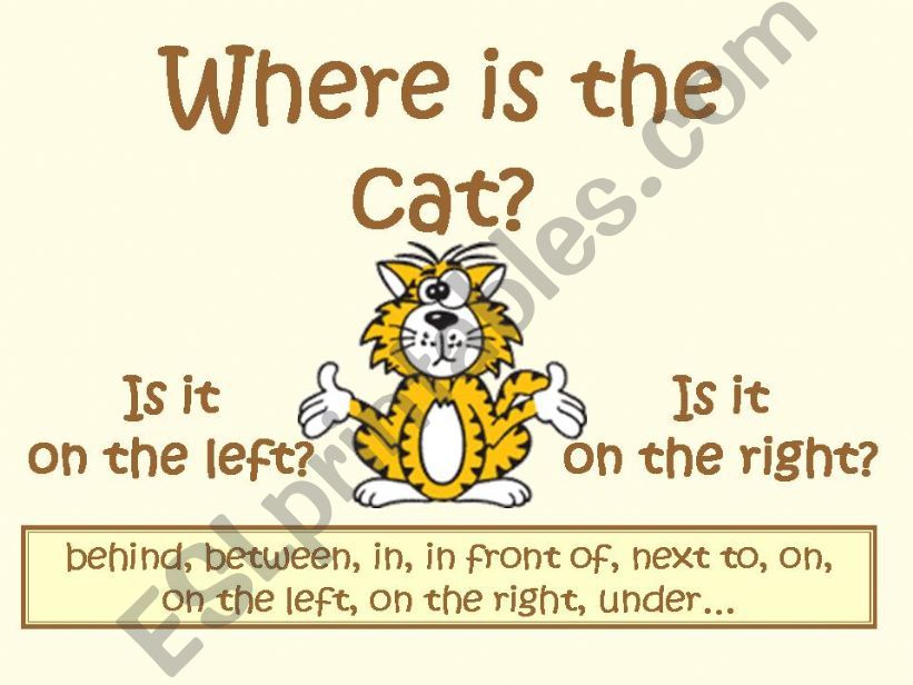WHERE IS THE CAT? powerpoint