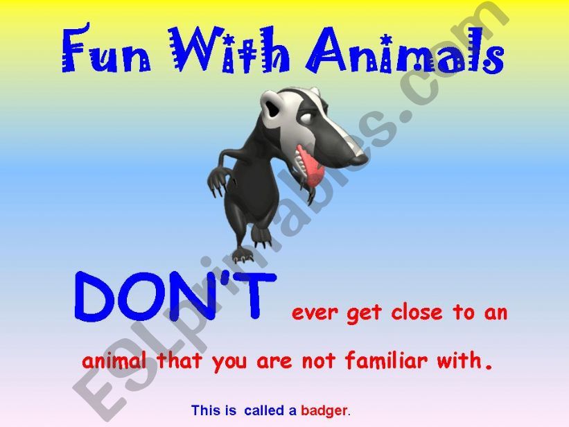 HAVE SOME FUN WITH ANIMALS!  (all ANIMATED PICTURES)