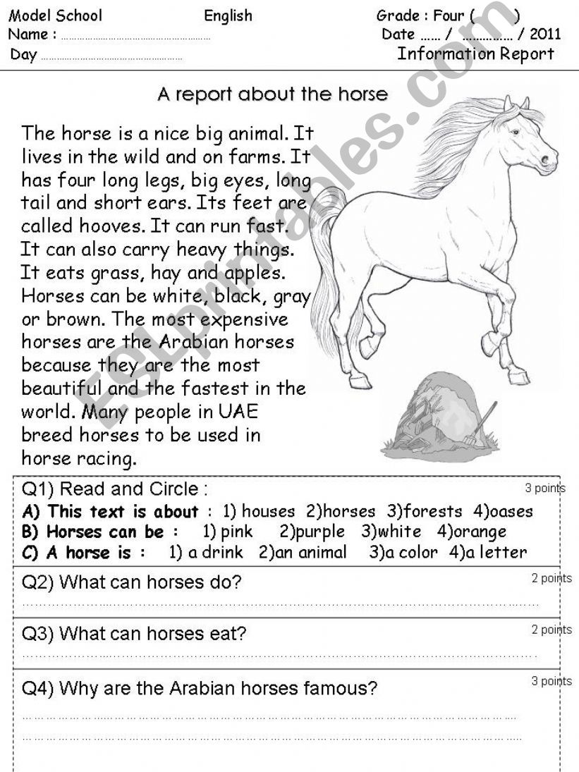 Information Report  Horse Camel