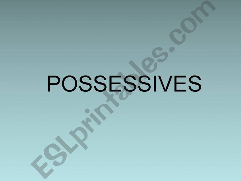 Possessive Adjectives powerpoint