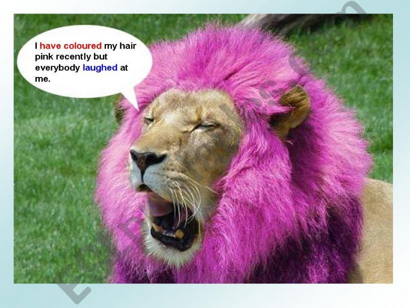 REVIEW OF TENSES (THE SIMPLE PRESENT TENSE, THE PRESENT CONTINUOUS TENSE,THE PRESENT PERFECT TENSE, THE SIMPLE PAST and PAST CONTINUOUS TENSE)