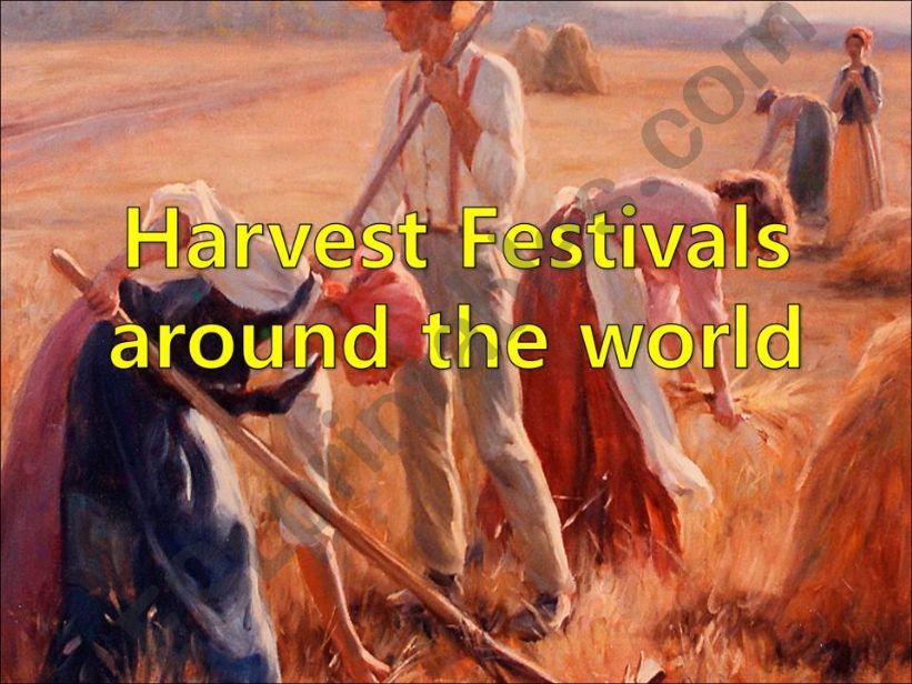 different festivals around the world 1