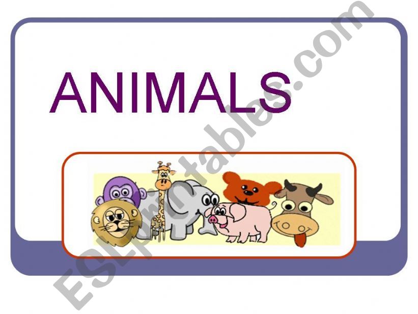 Animals powerpoint