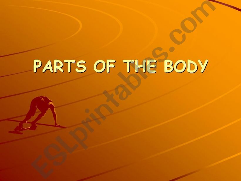 Parts of the Body powerpoint