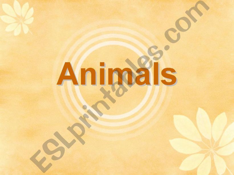 Animals powerpoint