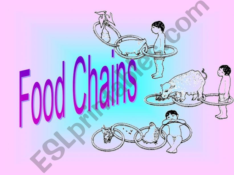Food Chains powerpoint