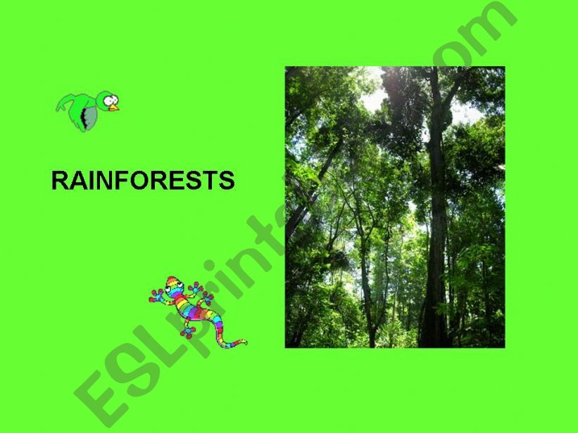 Amazon Rainforest powerpoint