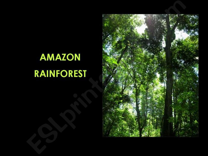 Amazon Rainforest - part 1 powerpoint