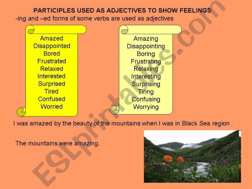 Participles used as adjectives to show feelings.