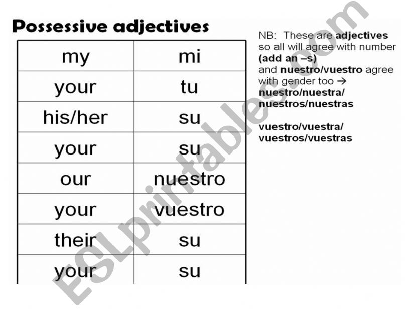 Possesive Adjectives powerpoint