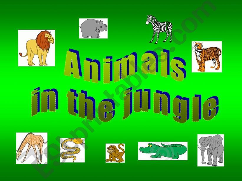Animals in the jungle powerpoint