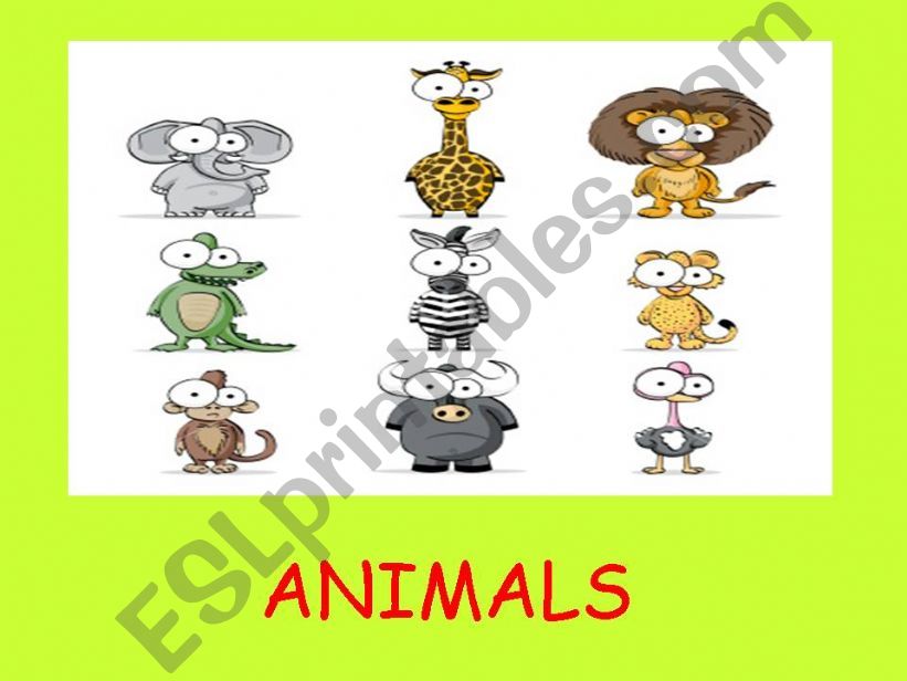 animals presentation powerpoint