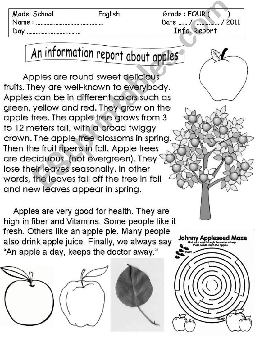 Information Report  Apples  powerpoint