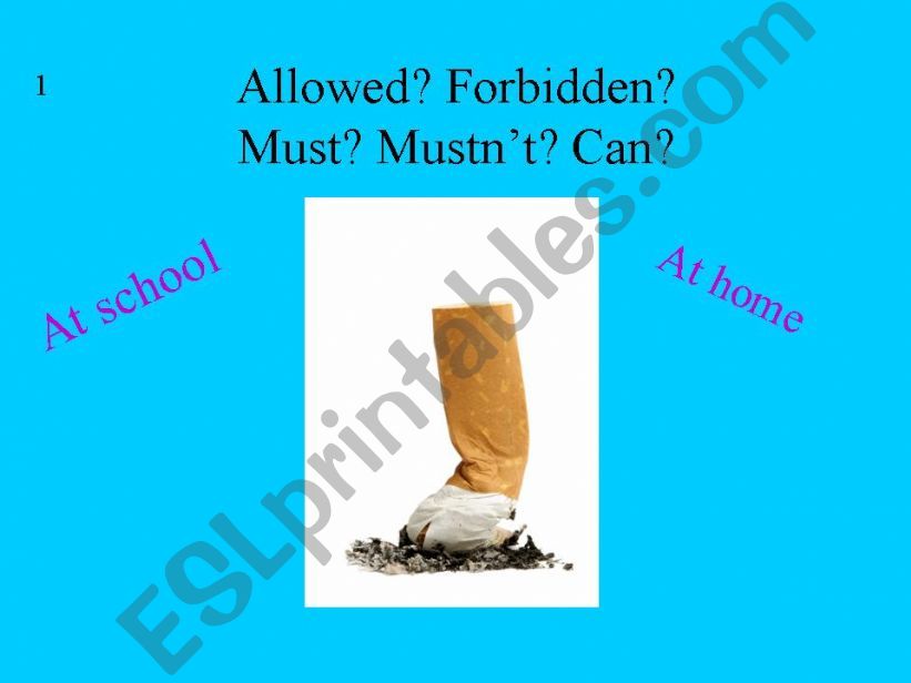 must/ mustnt/ obligation/ prohibition/ allowed/ forbidden 