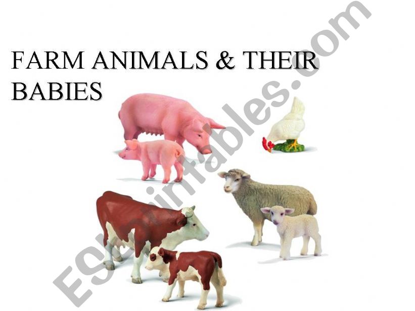 Farm Animals and their Babies (part 1)