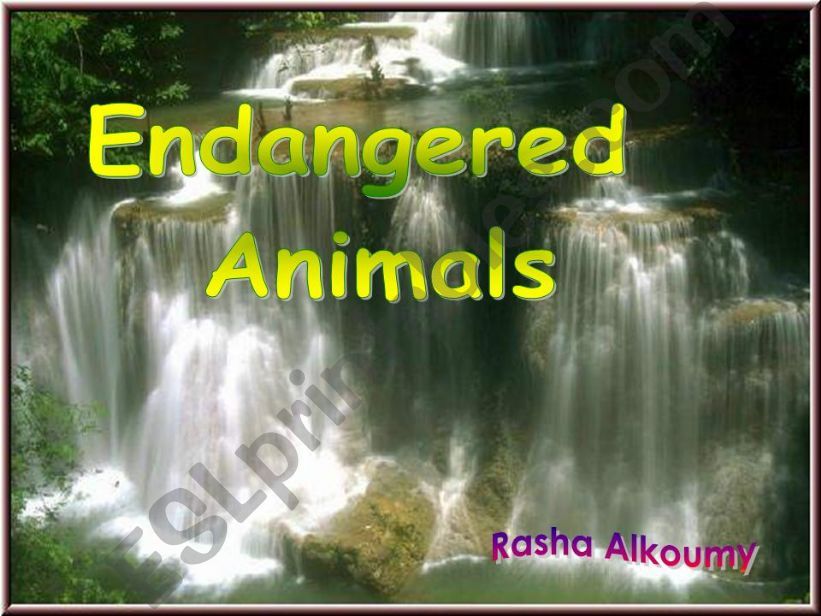 ENDANGERED  ANIMALS powerpoint