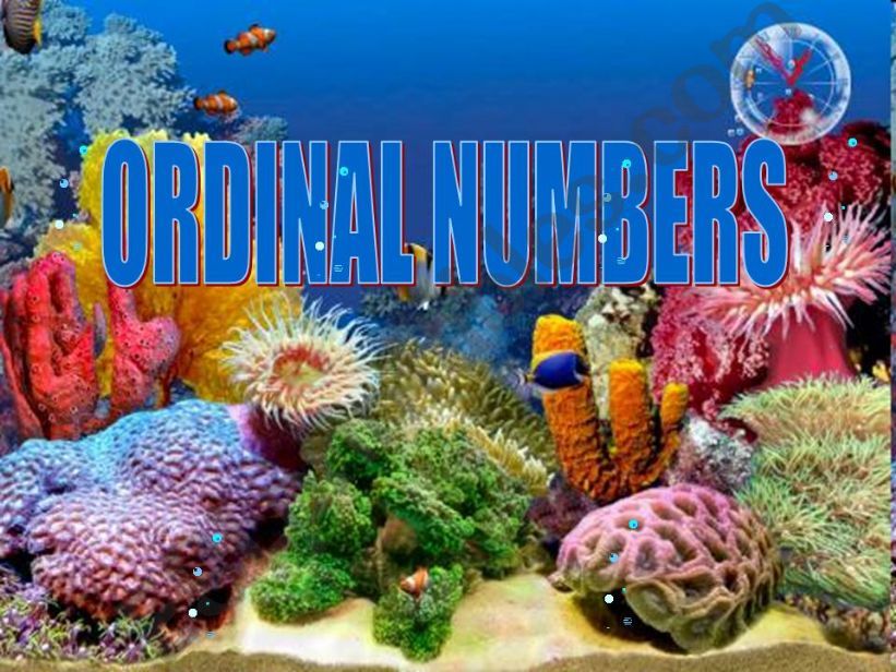 ORDINAL NUMBERS  powerpoint