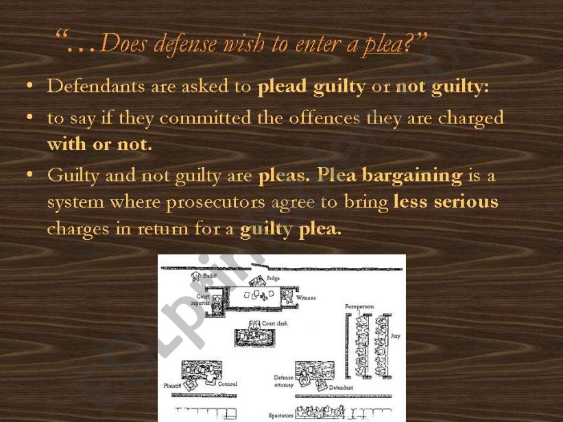 usa legal system lesson 6 powerpoint