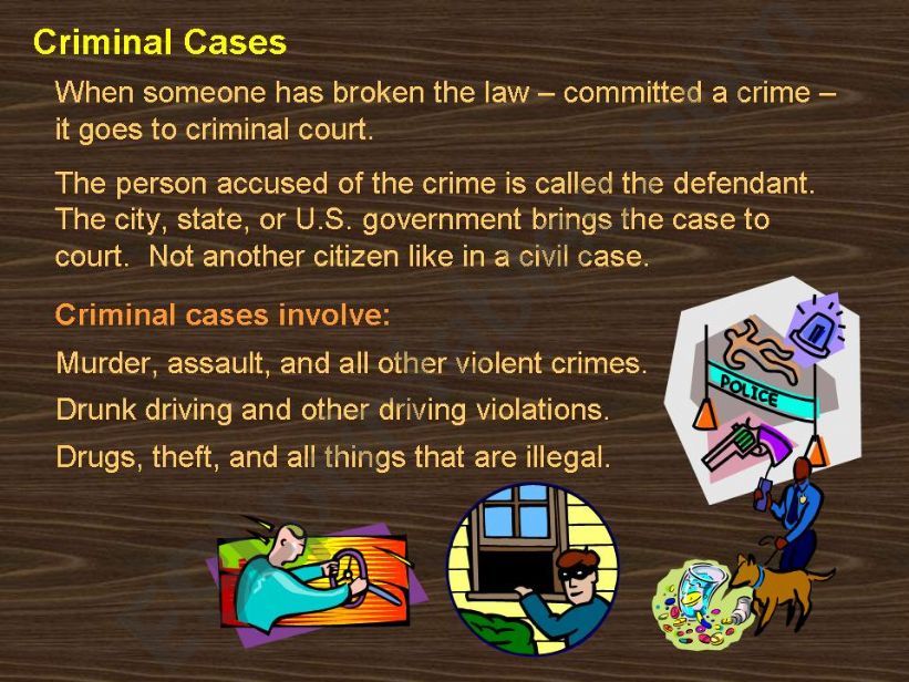 usa legal system lesson 8 powerpoint