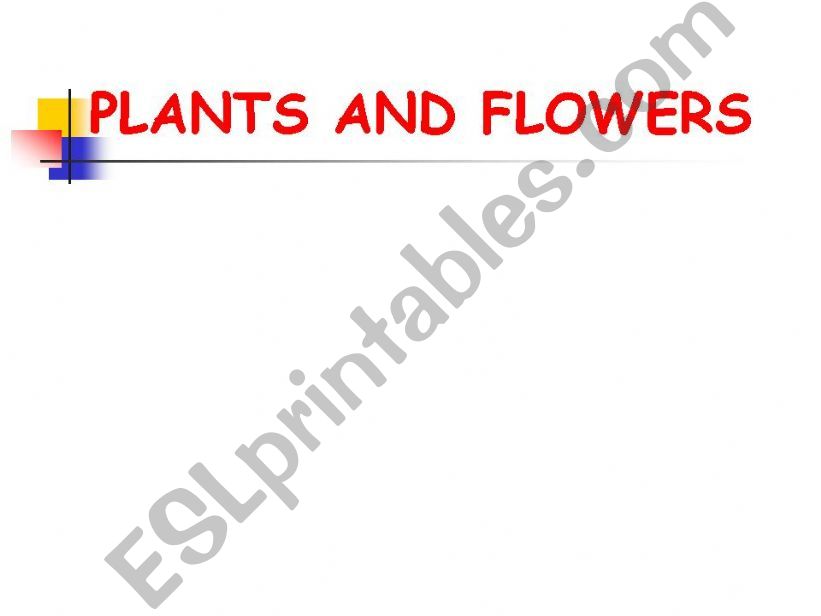 PLANTS & FLOWERS ( Types of known flowers)