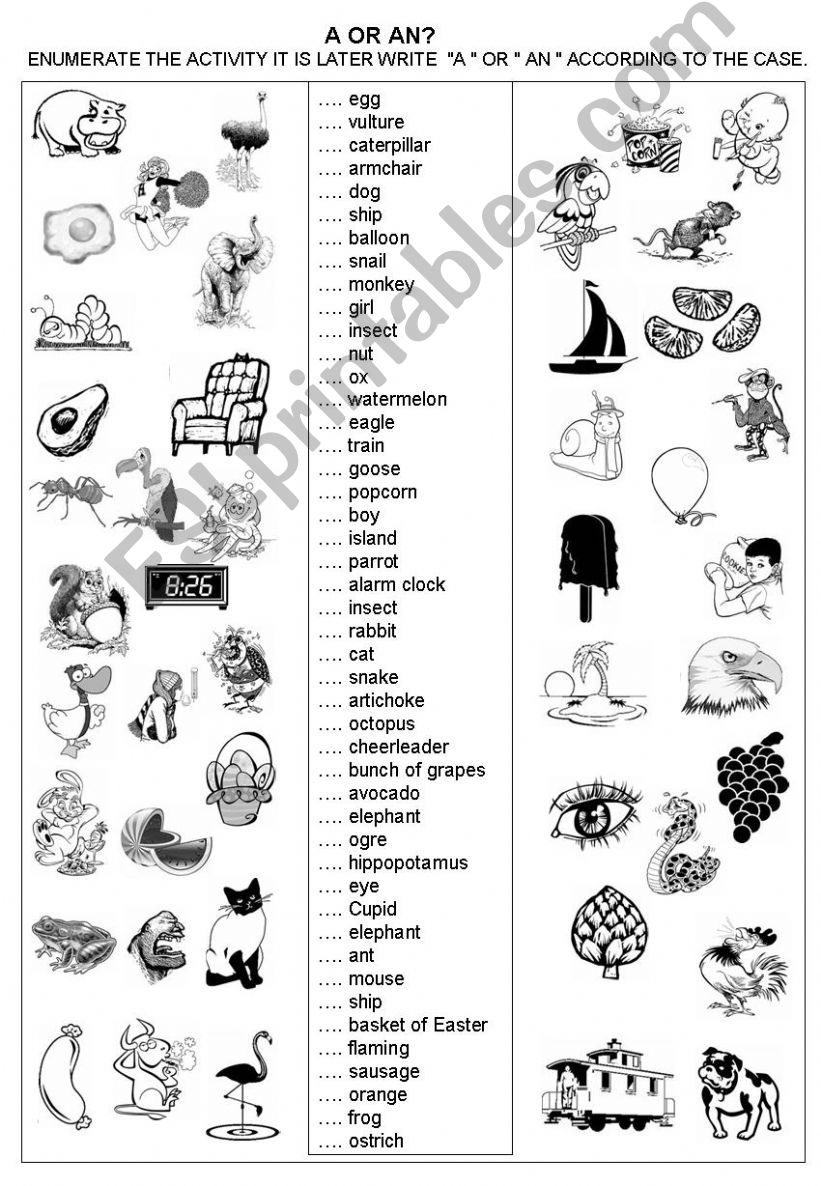 A  OR  AN? - ACTIVITIES  - KEY INCLUDED