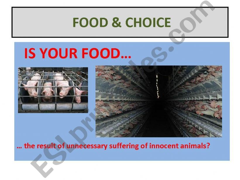 Food & Alternative Diets Part 2