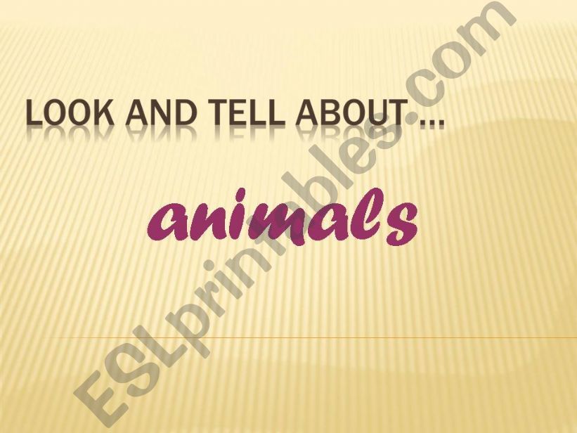 Stories about animals powerpoint