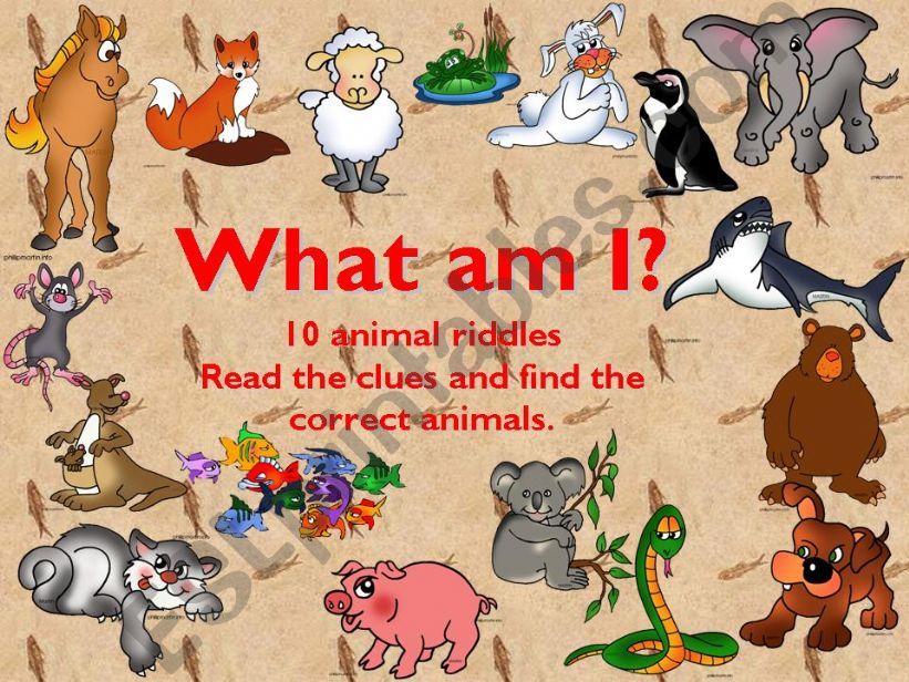 What am I? - 10 animal riddles