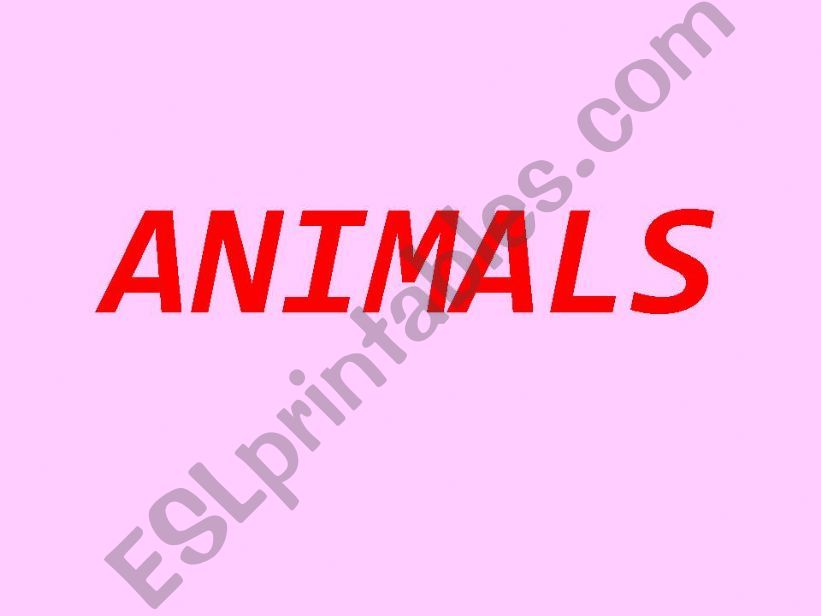 Animals powerpoint