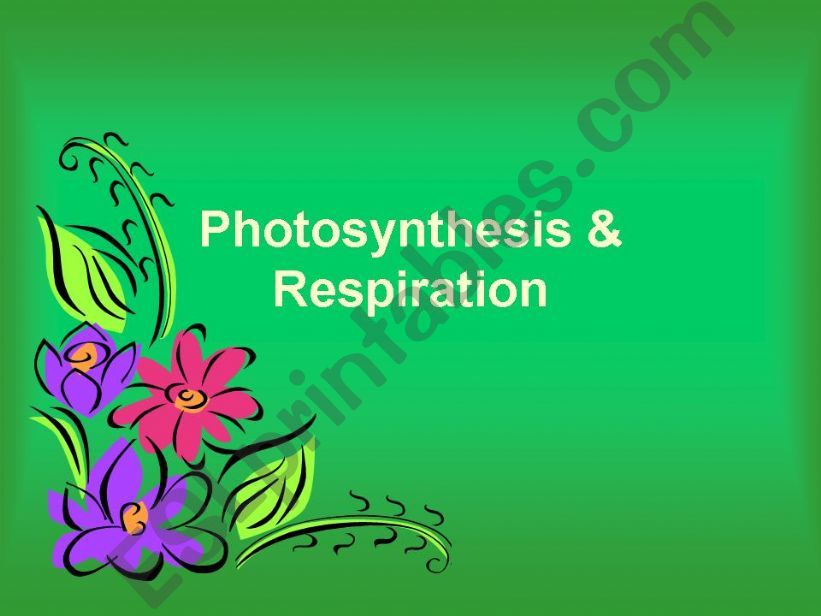 Photosynthesis powerpoint