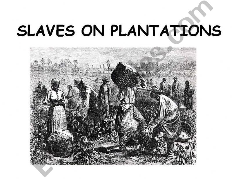 Slaves on plantations powerpoint